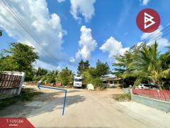  ขายที่ดิน เนื้อที่ 2 งาน 48.3 ตร.วา กระบี่น้อย กระบี่-202504201420381745133638721.jpg