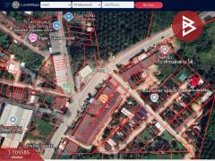 ขายที่ดินพร้อมสิ่งปลูกสร้าง เนื้อที่ 2 งาน 41.7 ตร.วา กระบี่น้อย กระบี่-202504201425381745133938805.jpg