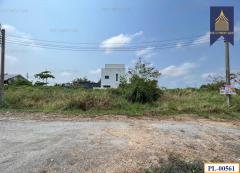 ขายที่ดินเปล่า โครงการเมืองเอก 90 ตารางวา เหมาะสำหรับการสร้างบ้านหรือทำออฟฟิต บางปู -202504201703591745143439992.jpg