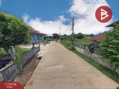 ขายบ้านเดี่ยวพร้อมที่ดิน เนื้อที่ 98 ตร.วา ขามเฒ่า นครพนม-202504210418181745183898570.jpg