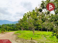 ขายที่ดินพร้อมสวนผลไม้ เนื้อที่ 117 ไร่ 2 งาน 80 ตร.วา มะขาม จันทบุรี-202504211140081745210408853.jpg