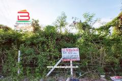 ขาย/เช่า ที่ดินถมแล้ว หมู่บ้านฉัตรหลวง เนื้อที่ 120 ตรว. ถนนกาญจนาภิเษก อ.ไทรน้อย จ.นนทบุรี-202504211149501745210990898.jpg