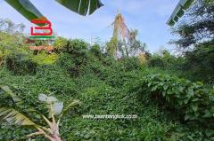 ขาย/เช่า ที่ดินถมแล้ว หมู่บ้านฉัตรหลวง เนื้อที่ 120 ตรว. ถนนกาญจนาภิเษก อ.ไทรน้อย จ.นนทบุรี-202504211149521745210992221.jpg