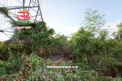 ขาย/เช่า ที่ดินถมแล้ว หมู่บ้านฉัตรหลวง เนื้อที่ 120 ตรว. ถนนกาญจนาภิเษก อ.ไทรน้อย จ.นนทบุรี-202504211149531745210993889.jpg