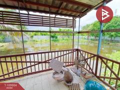 ขายบ้านเดี่ยวชั้นเดียว เนื้อที่ 1 ไร่ หนองจอก กรุงเทพมหานคร-202504211220451745212845993.jpg