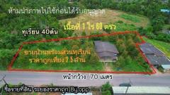 ขายบ้านพร้อมสวนทุเรียน จ.ระยอง 40  ต้น  เนื้อที่   1ไร่  60 ตรว โฉนดครุฑแดง สวนทุเรียน ติดถนนราดยาง
