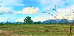 ขายที่ดินที่นา 365ตรว. 700,000บ. วิวเขา ถนน น้ำ ไฟฟ้า หลังที่ว่าการอำเภอ ต.บ้านธิ อ.บ้านธิ ลำพูน