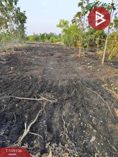 ขายที่ดิน 2 แปลง เนื้อที่รวม 2 ไร่ บ้านหมอ สระบุรี-202504211544281745225068818.jpg