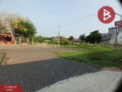 ขายที่ดินพร้อมสิ่งปลูกสร้าง เนื้อที่ 4 ไร่ 40 ตร.วา หัวทะเล นครราชสีมา-202504220959101745290750566.jpg