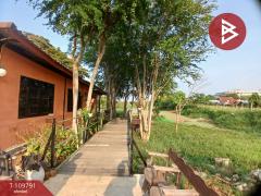 ขายที่ดินพร้อมสิ่งปลูกสร้าง เนื้อที่ 4 ไร่ 40 ตร.วา หัวทะเล นครราชสีมา-202504220959111745290751213.jpg