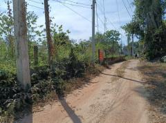 ขายที่ดิน โฉนด ติดร้านอาหารครัวริมบึงโง้ง เนื้อที่ 200 ตร.ว.-202504221833061745321586060.jpg
