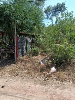 ขายที่ดิน โฉนด ติดร้านอาหารครัวริมบึงโง้ง เนื้อที่ 200 ตร.ว.-202504221833061745321586674.jpg