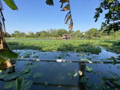 ขาย-ที่ดิน-399.7-ตร.ว.-นครปฐม-ศาลายา-พุทธม