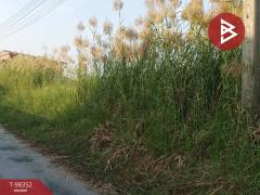 ขายที่ดินเปล่าด่วน เนื้อที่ 50 ตร.วา บางบ่อ สมุทรปราการ-202504230047551745344075893.jpg