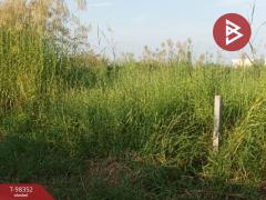 ขายที่ดินเปล่าด่วน เนื้อที่ 50 ตร.วา บางบ่อ สมุทรปราการ-202504230047571745344077815.jpg