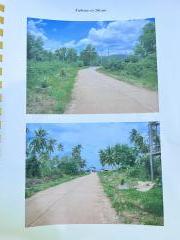 ขายที่ดิน ติดทะเลหาดตะวันฉาย ต.ละแม อ.ละแม จ.ชุมพร-202504230909461745374186810.jpg