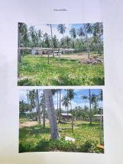 ขายที่ดิน ติดทะเลหาดตะวันฉาย ต.ละแม อ.ละแม จ.ชุมพร-202504230909481745374188106.jpg