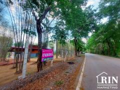 ขายที่ดินน่าน 3 ไร่ พร้อมบ้าน ติดถนนดำติดทุ่งนา วิวดอยภูคา ใกล้วัดศรีมงคล(ก๋ง) บ.สลี๋ ต.ยม อ.ท่าวังผา จ.น่าน-202504231047311745380051269.jpg