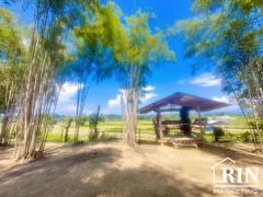 ขายที่ดินน่าน 3 ไร่ พร้อมบ้าน ติดถนนดำติดทุ่งนา วิวดอยภูคา ใกล้วัดศรีมงคล(ก๋ง) บ.สลี๋ ต.ยม อ.ท่าวังผา จ.น่าน-202504231047311745380051846.jpg