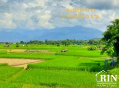 ขายที่ดินน่าน 3 ไร่ พร้อมบ้าน ติดถนนดำติดทุ่งนา วิวดอยภูคา ใกล้วัดศรีมงคล(ก๋ง) บ.สลี๋ ต.ยม อ.ท่าวังผา จ.น่าน-202504231047321745380052433.jpg