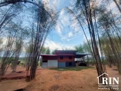 ขายที่ดินน่าน 3 ไร่ พร้อมบ้าน ติดถนนดำติดทุ่งนา วิวดอยภูคา ใกล้วัดศรีมงคล(ก๋ง) บ.สลี๋ ต.ยม อ.ท่าวังผา จ.น่าน-202504231047331745380053019.jpg