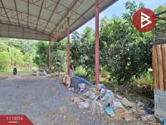 ขายโกดังพร้อมที่ดิน เนื้อที่ 3 งาน 13 ตร.วา ทัพหลวง นครปฐม-202504231110051745381405700.jpg