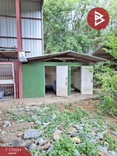 ขายโกดังพร้อมที่ดิน เนื้อที่ 3 งาน 13 ตร.วา ทัพหลวง นครปฐม-202504231110081745381408302.jpg