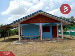 ขายบ้านเดี่ยว เนื้อที่ 3 งาน 3 ตร.วา พนัสนิคม ชลบุรี-202504231139441745383184662.jpg