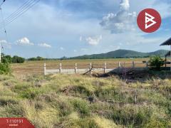 ขายบ้านเดี่ยวพร้อมที่ดิน เนื้อที่ 3 ไร่ 24.5 ตร.วา เดิมบางนางบวช สุพรรณบุรี-202504231251351745387495867.jpg