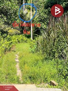 ขายที่ดิน เนื้อที่ 5 ไร่ 2 งาน 37 ตร.วา แหลมกลัด ตราด-202504231327431745389663245.jpg