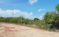 ขายที่ดินเปล่า 90.6 ตร.ว. ติดถนน 3092 ลาดใหญ่ สมุทรสงคราม-202504231559361745398776041.jpg