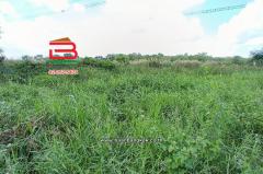 ที่ดินเปล่า ซอยคลองสระพัฒนา หมู่ 3 ซอย 1 เนื้อที่ 1 ไร่ ใกล้โรงเรียนเตรียมอุดมศึกษาน้อมเกล้า ปทุมธานี ตำบลคลองควาย อำเภอสามโคก จังหวัดปทุมธานี-202504231719431745403583190.jpg