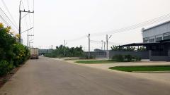 ให้เช่าโรงงานมือหนึ่ง อ้อมน้อย พื้นที่สีม่วง ขอใบรง.4 ได้ ck factory ซอยวิรุณราษฎร์/ซอยเฮงเฮง ถ.เศรษฐกิจ1-202504232043071745415787400.jpg