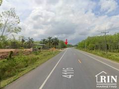 ขายที่ดิน เกือบ 5ไร่ครึ่ง ติดถนนลาดยาง ใกล้ชุมชน ทุ่งสง นครศรีธรรมราช -202504241027531745465273335.jpg