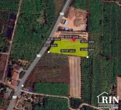 ขายที่ดิน เกือบ 5ไร่ครึ่ง ติดถนนลาดยาง ใกล้ชุมชน ทุ่งสง นครศรีธรรมราช -202504241027531745465273924.jpg