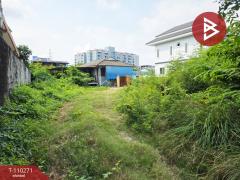 ขายบ้านเดี่ยว เนื้อที่ 1 งาน 58.1 ตร.วา ปากน้ำ สมุทรปราการ-202504241149541745470194966.jpg