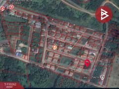 ขายที่ดิน เนื้อที่ 1 งาน 59.1 ตร.วา ท่าเสา อุตรดิตถ์-202504241150131745470213958.jpg