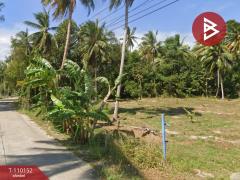 ขายที่ดิน เนื้อที่ 11 ไร่ 1 งาน 86 ตร.วา บางสะพาน ประจวบคีรีขันธ์