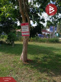 ขายที่ดิน เนื้อที่ 11 ไร่ 1 งาน 86 ตร.วา บางสะพาน ประจวบคีรีขันธ์-202504241309021745474942346.jpg