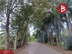 ขายที่ดิน เนื้อที่ 11 ไร่ 1 งาน 86 ตร.วา บางสะพาน ประจวบคีรีขันธ์-202504241309041745474944890.jpg