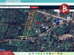 ขายที่ดิน เนื้อที่ 11 ไร่ 1 งาน 86 ตร.วา บางสะพาน ประจวบคีรีขันธ์-202504241309061745474946161.jpg