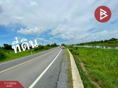 ขายที่ดิน เนื้อที่ 3 งาน 20.9 ตร.วา บ้านโพธิ์ สุพรรณบุรี-202504241421431745479303201.jpg