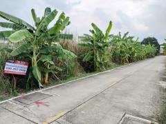 ขายที่ดิน 160 ตร.ว. ซอย อบต.ศาลายา 25 ห่างถนนเลียบคลองมหาสวัสดิ์ 5 แค่ 40 เมตร #LB284 – 001004