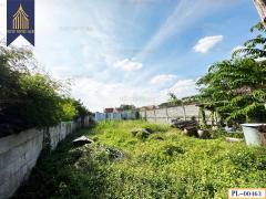 ขายที่ดินบ้านสร้างบ้าน 70-140 ตารางวา วชิรธรรมสาธิต ศรีนครินทร์ อุดมสุข บางนา-202504242031461745501506629.jpg