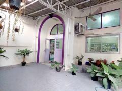ขายตึกโกดัง/โรงงาน พุทธมณฑลสาย 5 อยู่เพชรเกษม 95 เข้าซอยเพียง 500 เมตร-202504251232261745559146751.jpg