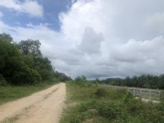 ขายที่ดินถมแล้วทั้งหมด 7 ไร่ 2 งาน 5.3 ตร.ว. ต.บางม่วง อ.ตะกั่วป่า จ.พังงา เหมาะลงทุนและพัฒนาทำจัดสรร ใกล้ทะเลอันดามัน ใกล้ถนนหลักเพชรเกษม เพียง 30 เมตร ติดกับปั้มน้ำมัน ปตท. ทำเลทองสุดๆ-202504251328421745562522903.jpg