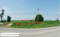 ขายที่ดินว่างเปล่ามือสอง     อำเภอคลองขลุง กำแพงเพชร
