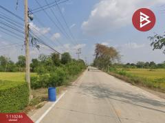 ขายที่ดิน เนื้อที่ 1 ไร่ สามโคก ปทุมธานี-202504251431341745566294446.jpg