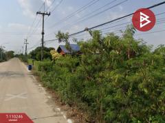 ขายที่ดิน เนื้อที่ 1 ไร่ สามโคก ปทุมธานี-202504251431361745566296110.jpg