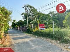 ขายที่ดินถมแล้ว เนื้อที่ 2 งาน 32 ตร.วา บางเขน กรุงเทพมหานคร-202504251624251745573065040.jpg